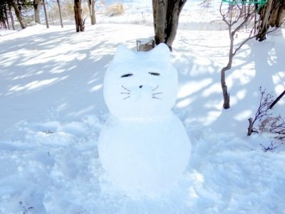 ※年末年始営業日のお知らせ※の画像