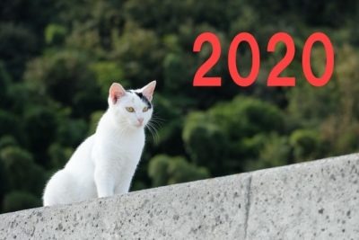 2020年スタートです！の画像
