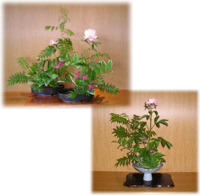 Sumie’s Room　Open!の画像