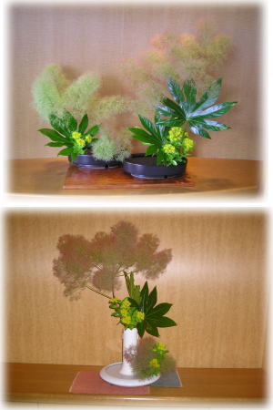 新しく生けていただきました。の画像